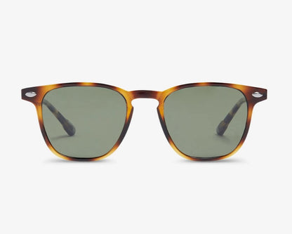 Nooz Dino Tortoise Sunglasses