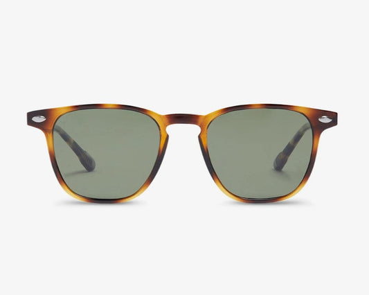 Nooz Dino Tortoise sunglasses
