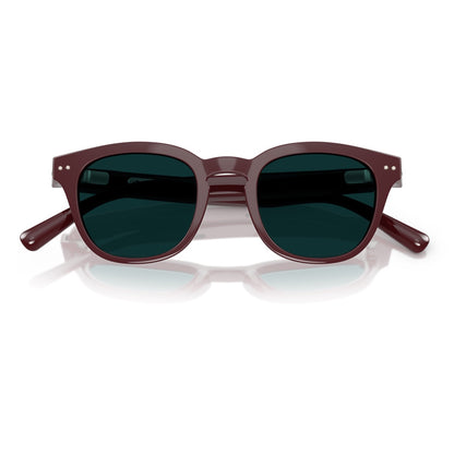 Nuance Panthos Bordeaux Transition