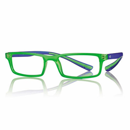 R0480 Plus Reading glasses temple arm