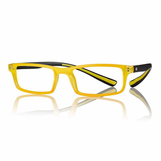 R0480 Plus Asta collo occhiale da lettura