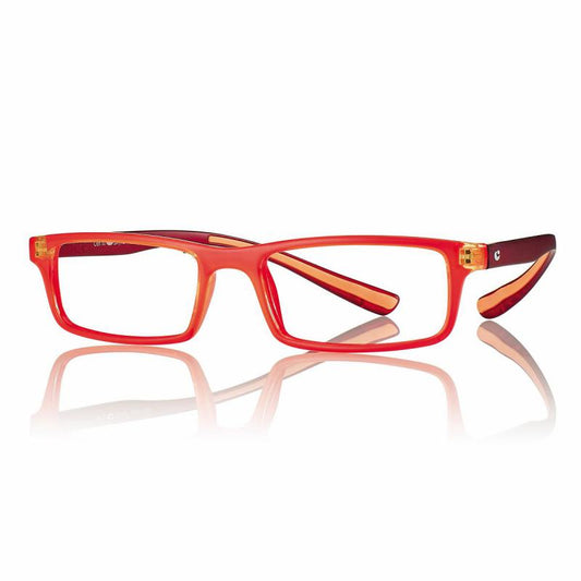 R0480 Plus Asta collo occhiale da lettura