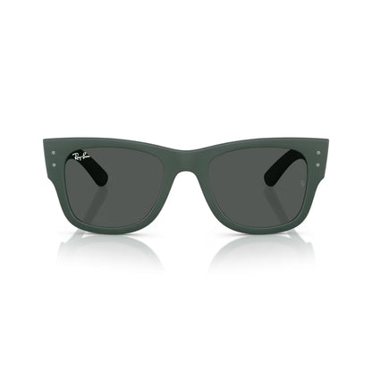 RB4840S 665787 Lightforce