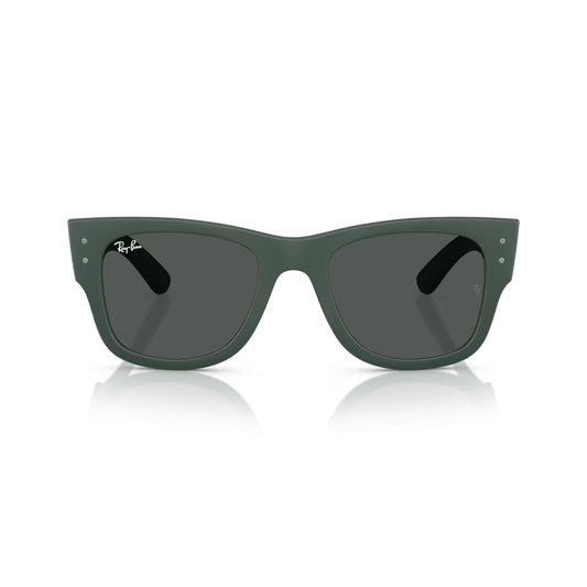 RB4840S 665787 Lightforce