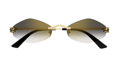 Cartier CT0433S