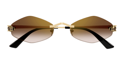 Cartier CT0433S-002