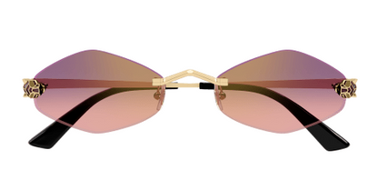 Cartier CT0433S-004