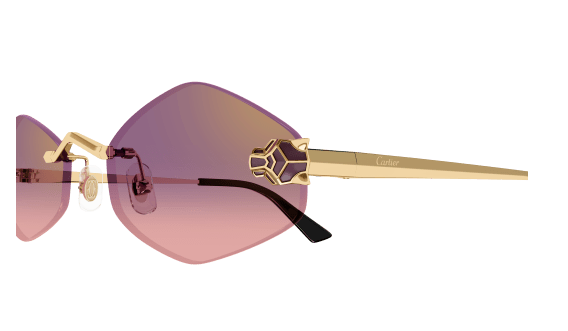 Cartier CT0433S-004
