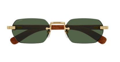 Cartier CT0362S