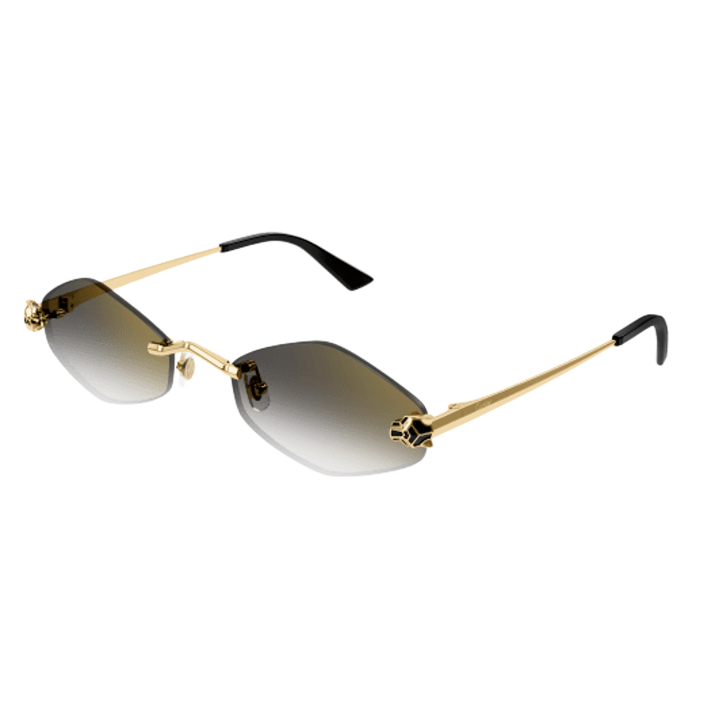 Cartier CT0433S