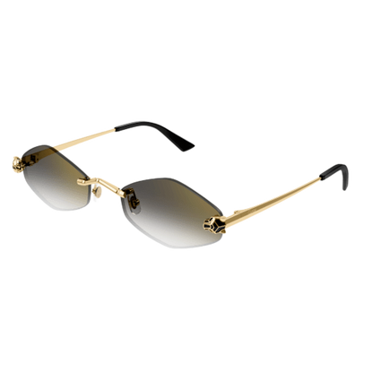 Cartier CT0433S