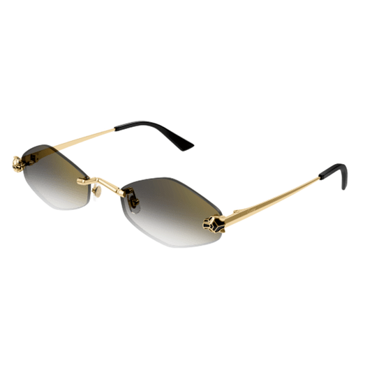 Cartier CT0433S