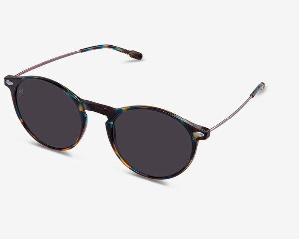 Nooz Cruz Dark tortoise sunglasses